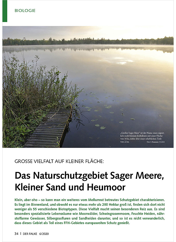 GROSSE VIELFALT AUF KLEINER FLCHE: NATURSCHUTZGEBIET SAGE R MEERE, KLEINER SAND, HEUMOOR