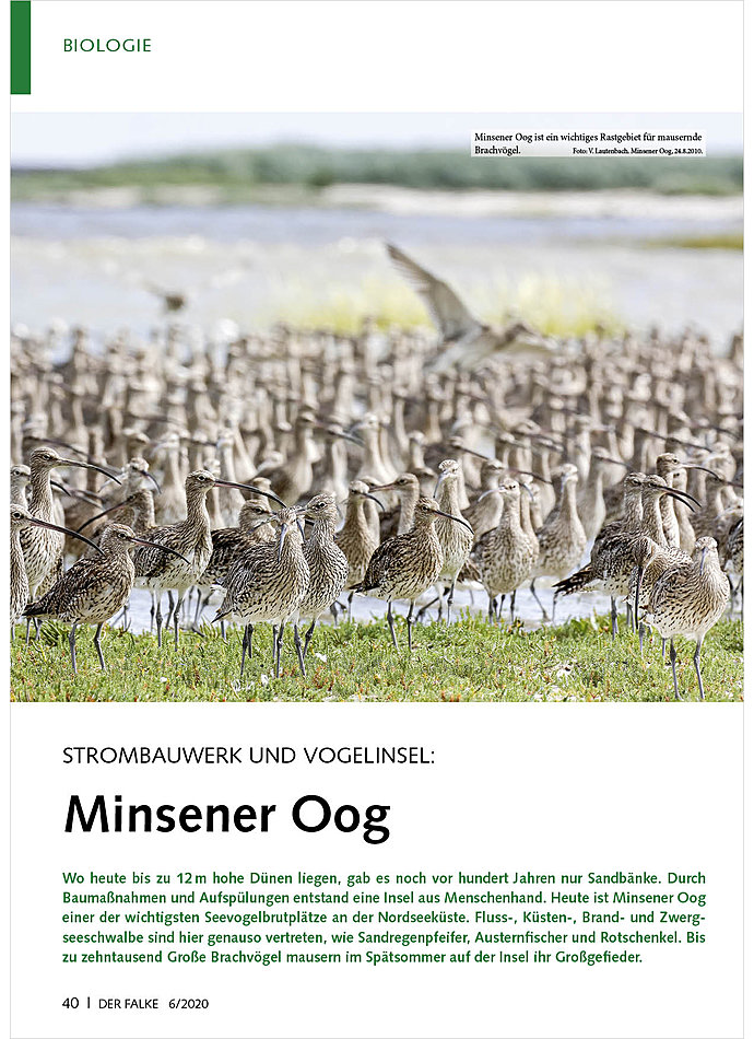 Auf diesem Bild sehen Sie das Produktbild 1 fr STROMBAUWERK UND VOGELINSEL: MINSENER OOG