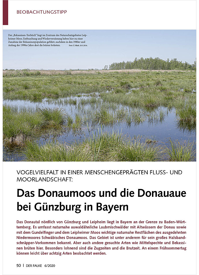 DAS DONAUMOOS UND DIE DONAUAUE BEI GNZBURG IN BAYERN