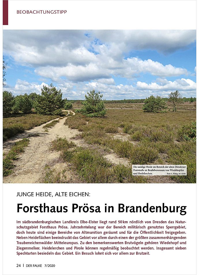 JUNGE HEIDE, ALTE EICHEN: FORSTHAUS PRSA IN BRANDENBURG