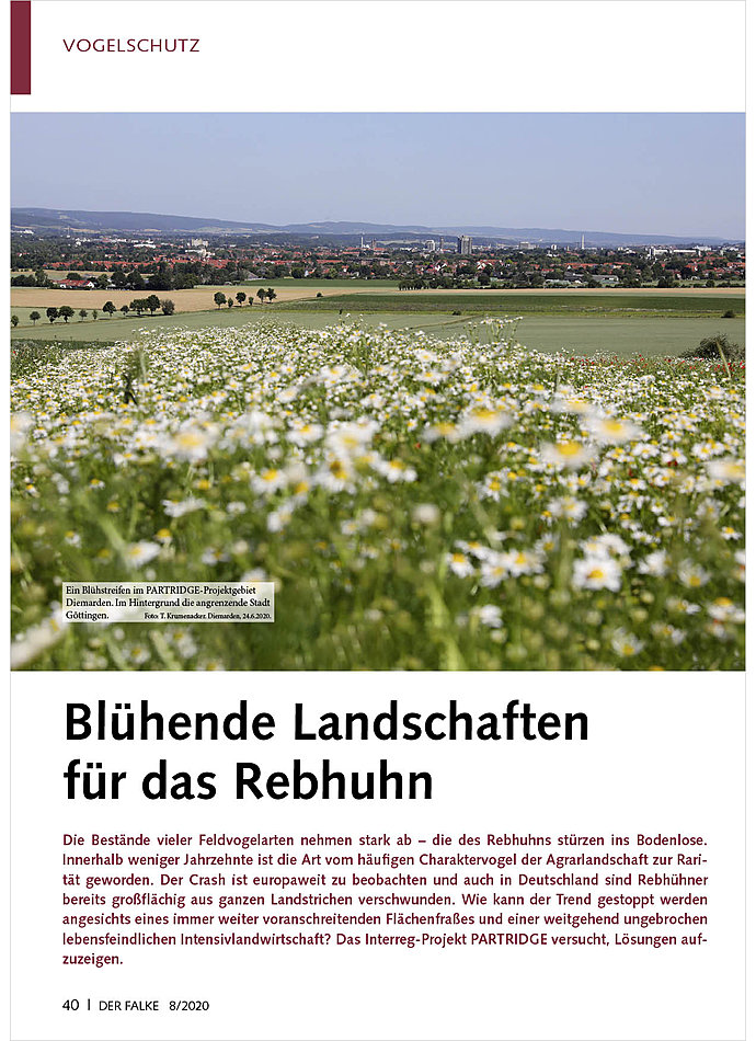 BLHENDE LANDSCHAFTEN FR DAS REBHUHN