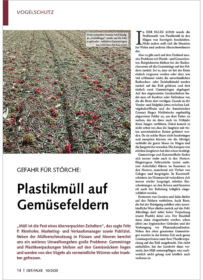 GEFAHR FR STRCHE: PLASTIK MLL AUF GEMSEFELDERN