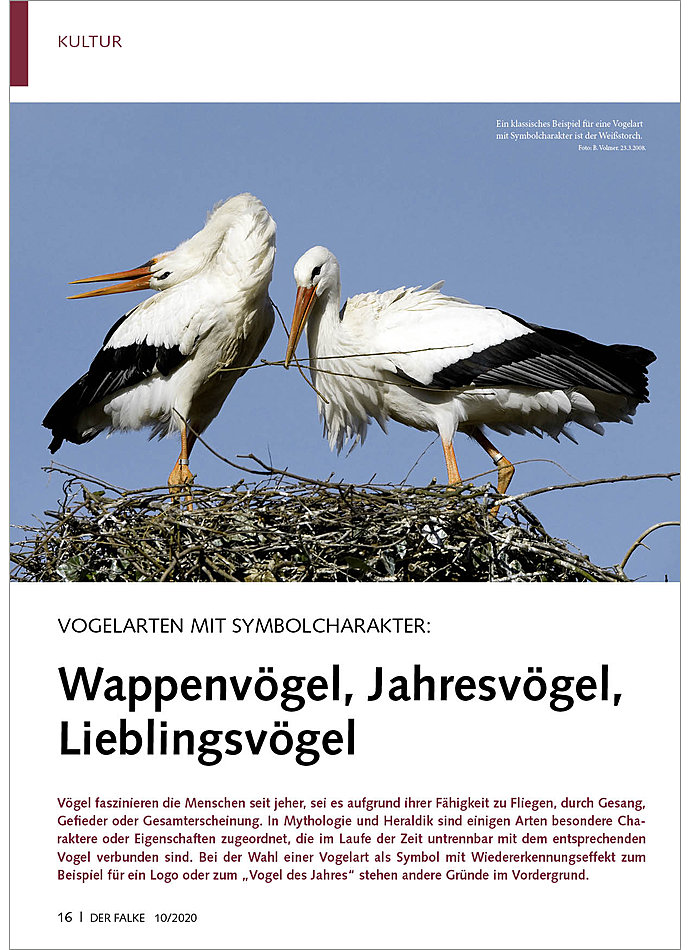 VOGELARTEN MIT SYMBOLCHARAKTER WAPPENVGEL, JAHRESVGEL, LIEB LINGSVGEL