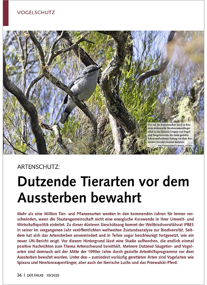 Auf diesem Bild sehen Sie das Produktbild 1 fr ARTENSCHUTZ: DUTZENDE TIERARTE N VOR DEM AUSSTERBEN BEWAHRT