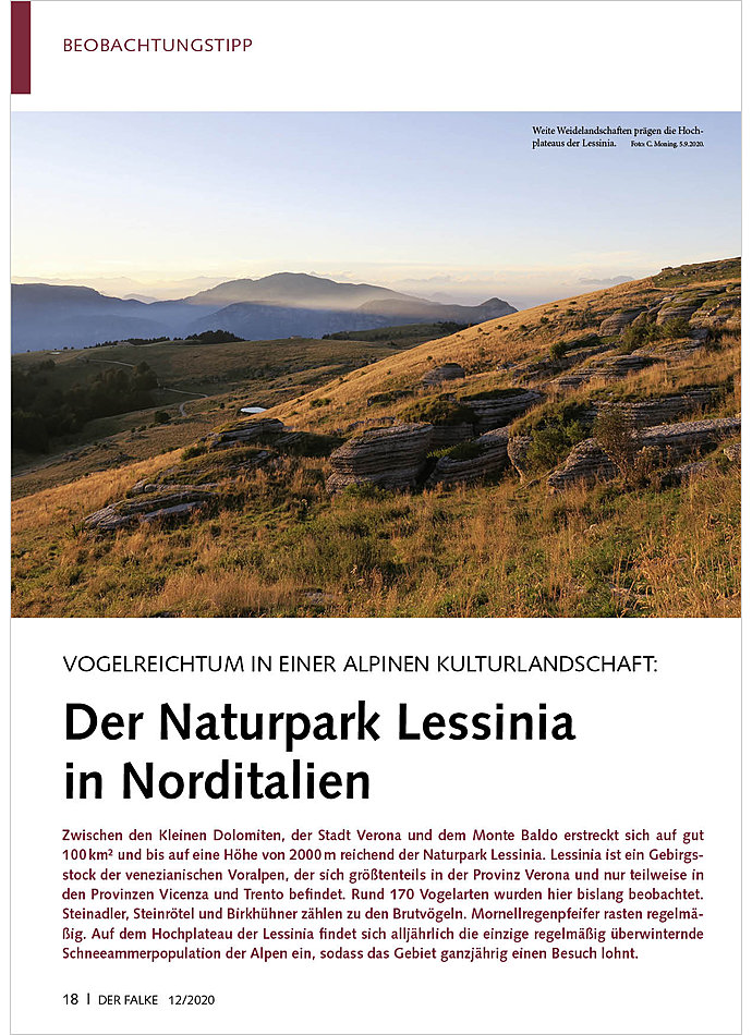 VOGELREICHTUM IN EINER ALPINEN KULTURLANDSCHAFT DER NATURPARK LESSINIA IN NORDITALIEN