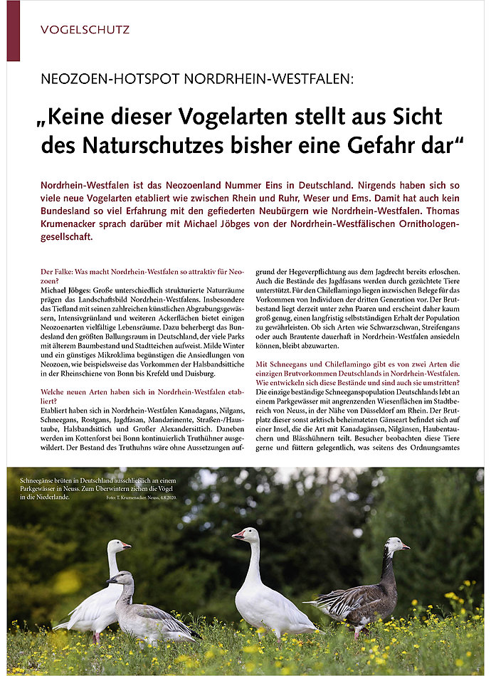 NEOZOEN-HOTSPOT NORDRHEIN-WEST ALEN: KEINE DIESER VOGELARTEN STELLT BISHER EINE GEFAHR DAR