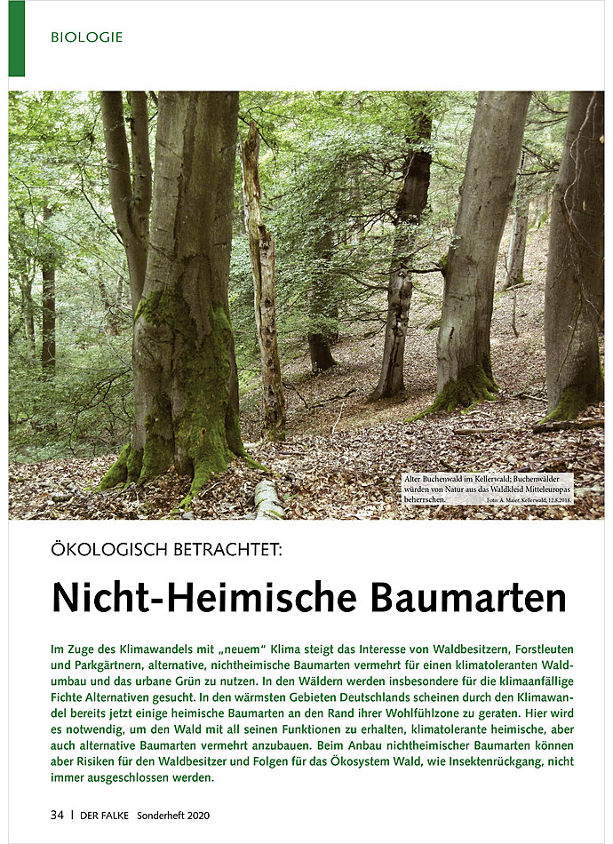 KOLOGISCH BETRACHTET: NICHT HEIMISCHE BAUMARTEN