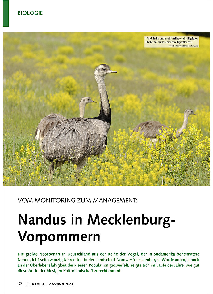 Auf diesem Bild sehen Sie das Produktbild 1 fr VOM MONITORING ZUM MANAGEMENT: NANDUS IN MECKLENBURG-VORPOMME RN