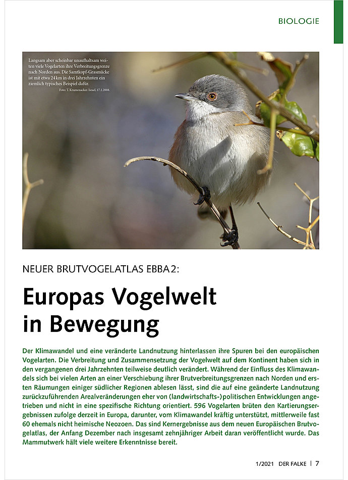 NEUER BRUTVOGELATLAS EBBA 2: EUROPAS VOGELWELT IN BEWEGUNG