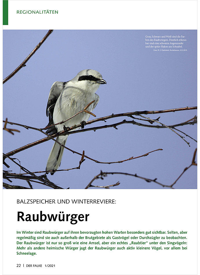 BALZSPEICHER UND WINTERREVIERE RAUBWRGER