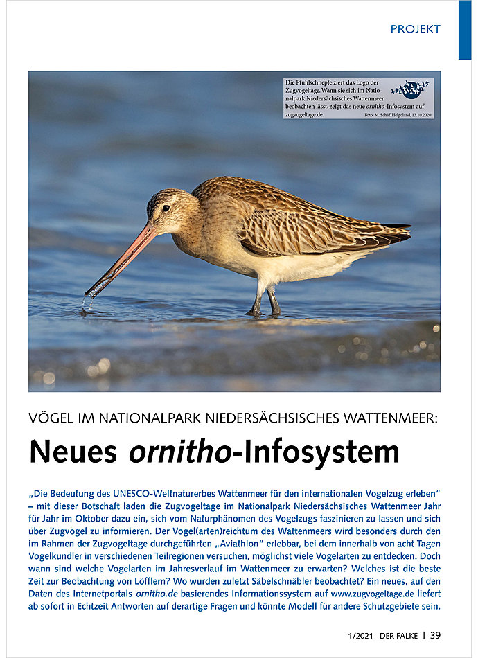 VGEL IM NATIONALPARK NIEDER SCHSISCHES WATTENMEER: NEUES ORNITHO-INFOSYSTEM