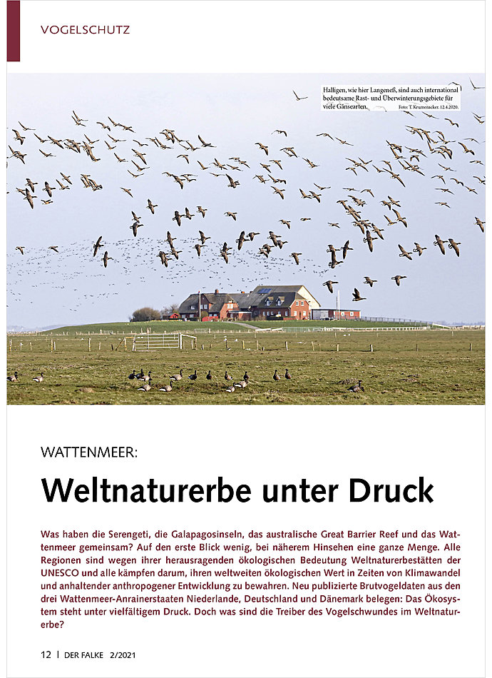 WATTENMEER: WELTNATURERBE UNTER DRUCK