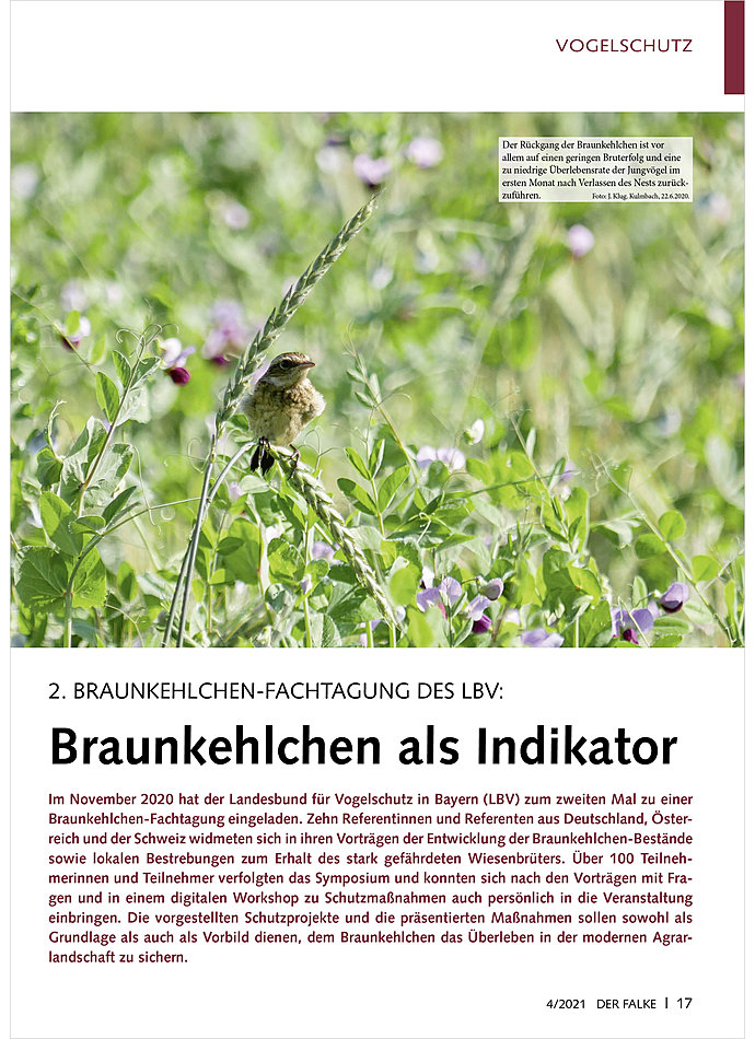 Auf diesem Bild sehen Sie das Produktbild 1 fr 2. BRAUNKEHLCHEN-FACHTAGUNG DES LBV: BRAUNKEHLCHEN ALS INDIKATOR