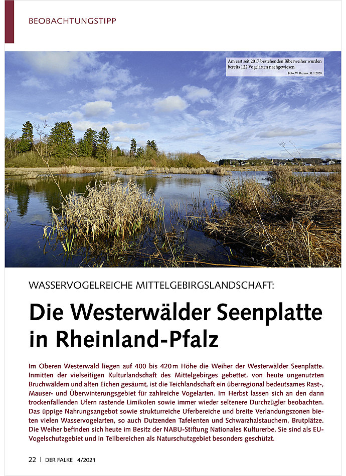 WASSERVOGELREICHE MITTELGEBIRG SLANDSCHAFT: DIE WESTERWLDER SEENPLATTE IN RHEINLAND-PFALZ