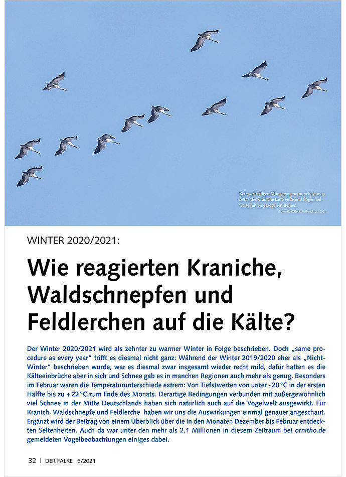 Auf diesem Bild sehen Sie das Produktbild 1 fr VOGELWELT AKTUELL: WINTER 2020 /2021: WIE REAGIEREN KRANICHE, WALDSCHNEPFEN UND FELDLERCHEN