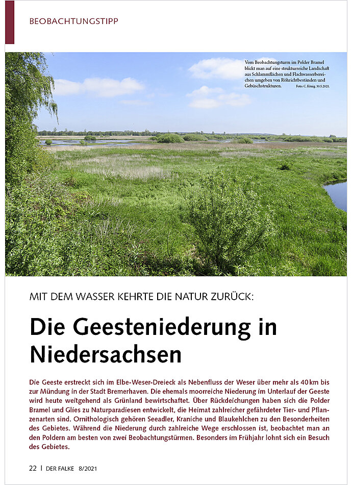 MIT DEM WASSER KEHRTE DIE NATU R ZURCK: DIE GEESTENIEDERUNG IN NIEDERSACHSEN