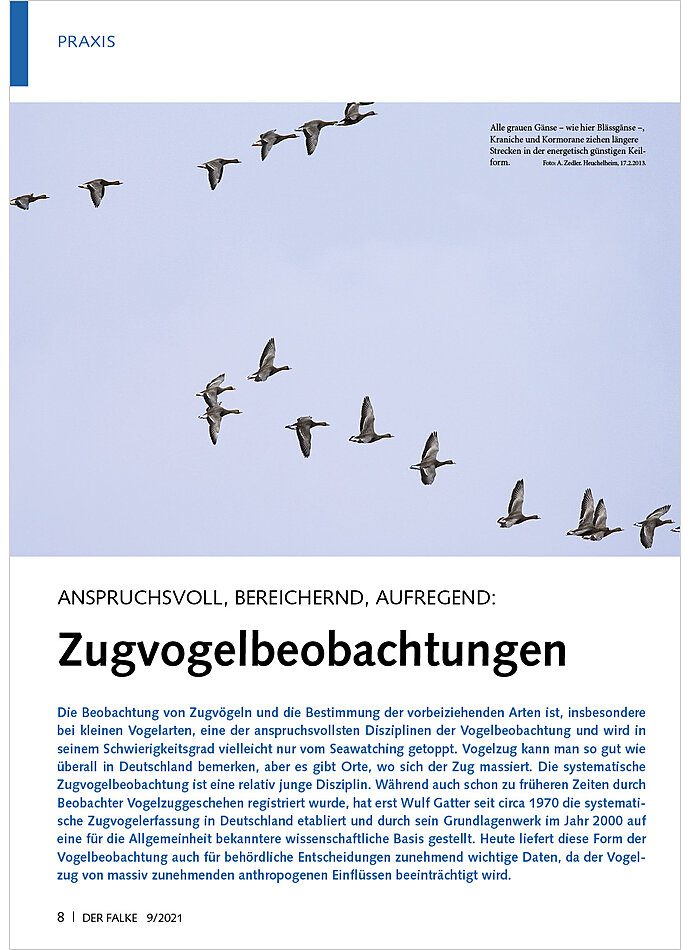Auf diesem Bild sehen Sie das Produktbild 1 fr ANSPRUCHSVOLL, BEREICHERND, AUFREGEND: ZUGVOGELBEOBACHTUNG EN