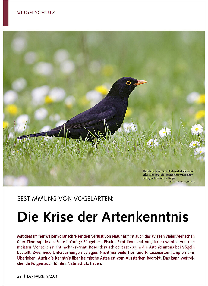 Auf diesem Bild sehen Sie das Produktbild 1 fr BESTIMMUNG VON VOGELARTEN: DIE KRISE DER ARTENKENNTNIS