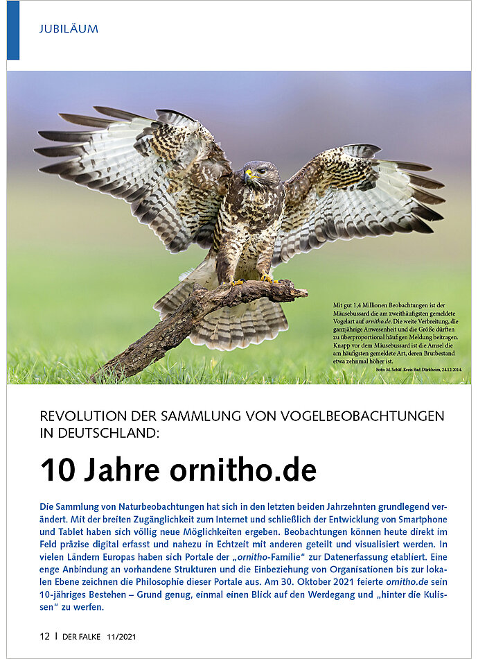 REVOLUTION DER SAMMLUNG VON VO GELBEOBACHTUNGENIN DEUTSCHLAND 10 JAHRE ORNITHO.DE