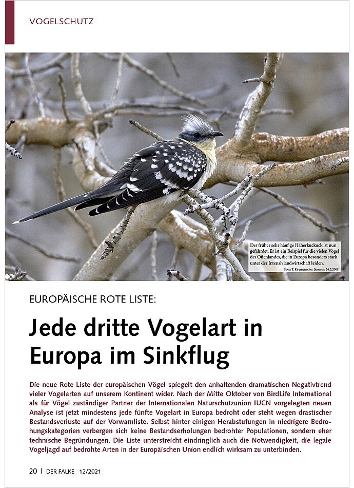 EUROPISCHE ROTE LISTE: JEDE DRITTE VOGELART IN EUROPA IM SINKFLUG