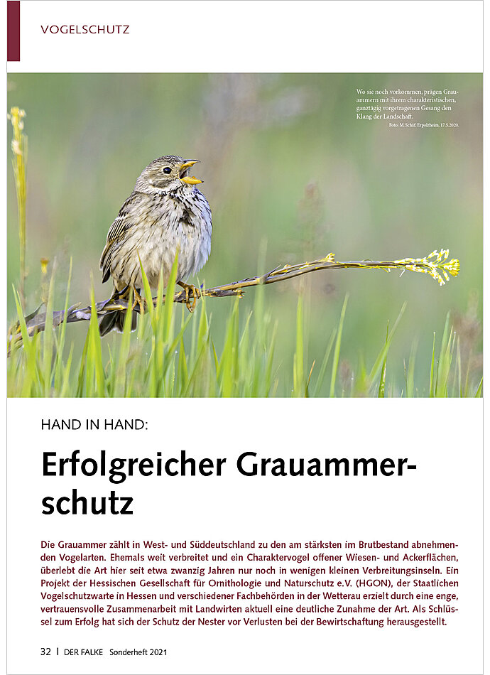 HAND IN HAND: ERFOLGREICHER GRAUAMMERSCHUTZ