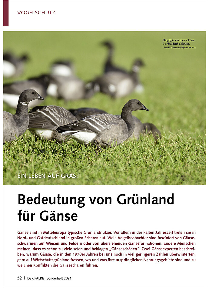 EIN LEBEN AUF GRAS: BEDEUTUNG VON GRNLAND FR GNSE