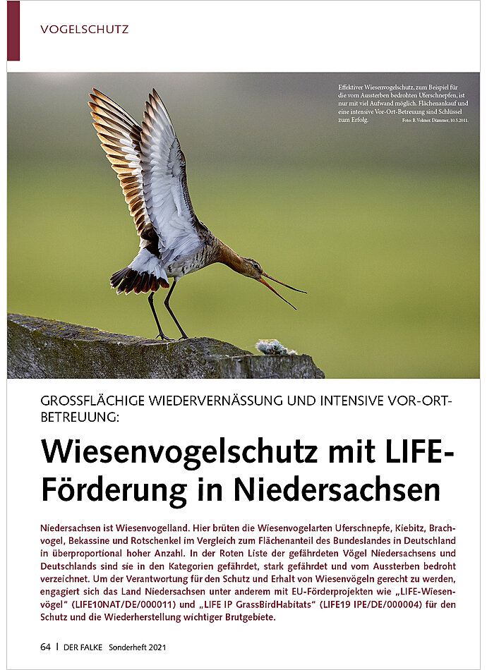 GROSSFLCHIGE WIEDERVERNSSUNG WIESENVOGELSCHUTZ MIT LIFE- FRDERUNG IN NIEDERSACHSEN