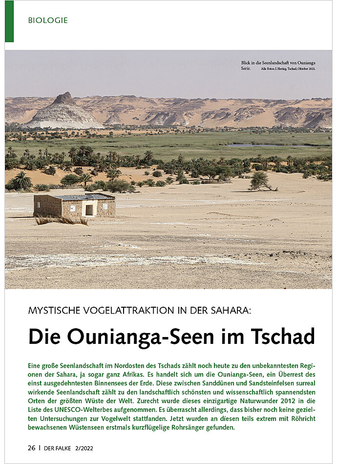 MYSTISCHE VOGELATTRAKTION IN DER SAHARA. DIE OUNIANGA-SEEN IM TSCHAD