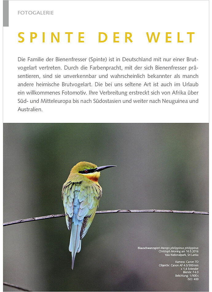 Auf diesem Bild sehen Sie das Produktbild 1 fr FOTOGALERIE: SPINTE DER WELT