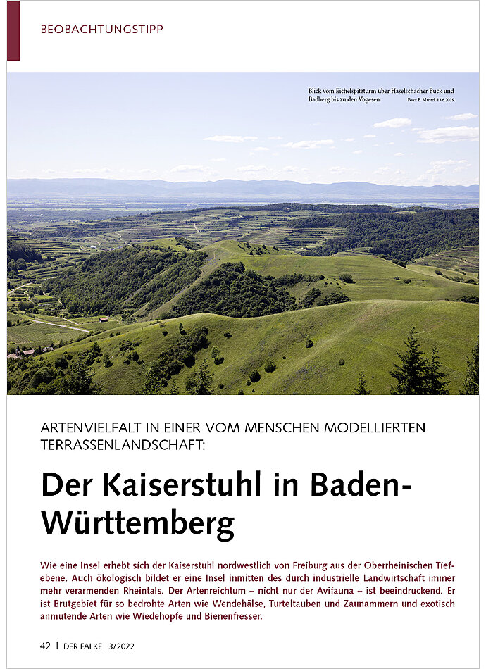 Dieses Bild zeigt das Bild 1 zu Artikelnummer FA220307