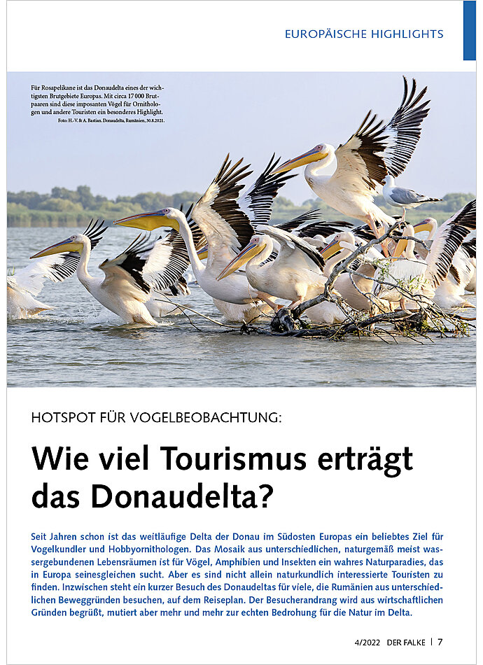 HOTSPOT FR VOGELBEOBACHTUNG: WIE VIEL TOURISMUS ERTRGT DAS DONAUDELTA