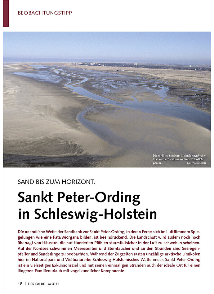 SAND BIS ZUM HORIZONT: SANKT PETER-ORDING IN SCHLESWIG- HOLSTEIN