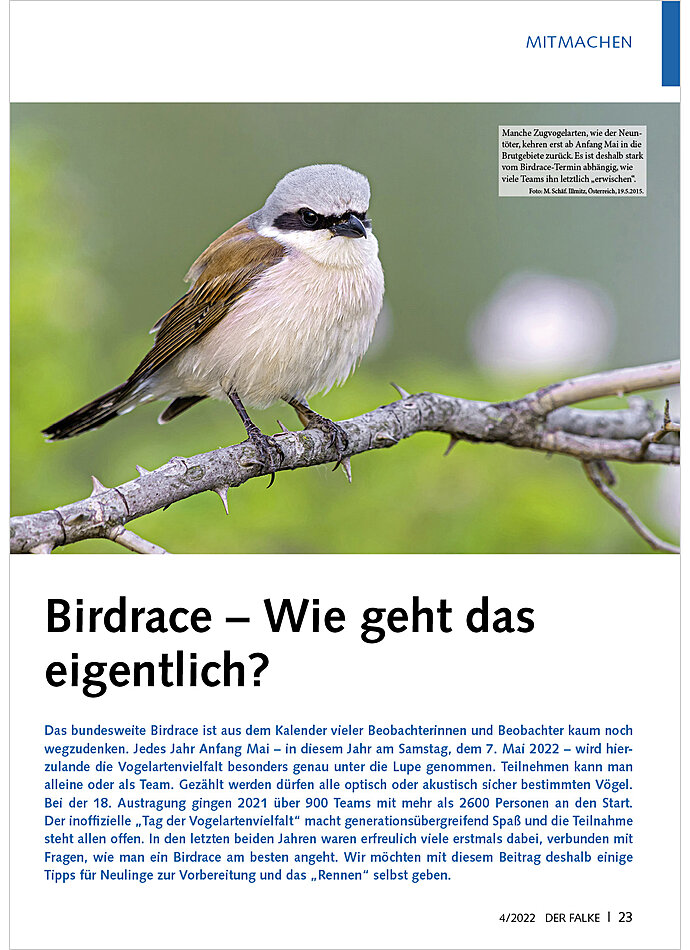 BIRDRACE - WIE GEHT DAS EIGENT LICH?