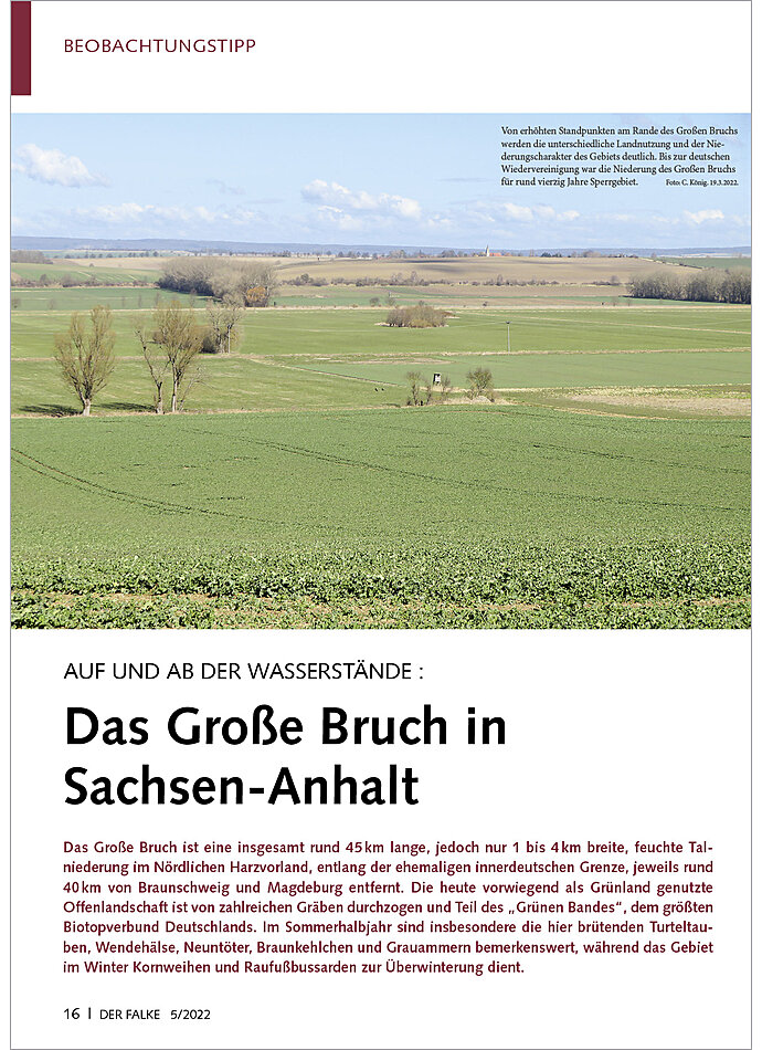 AUF UND AB DER WASSERSTNDE: DAS GROSSE BRUCH IN SACHSEN- ANHALT