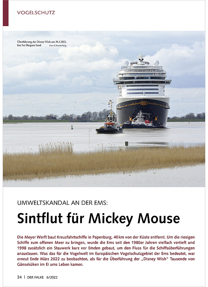 UMWELTSKANDAL AN DER EMS: SINTFLUT FR MICKEY MOUSE