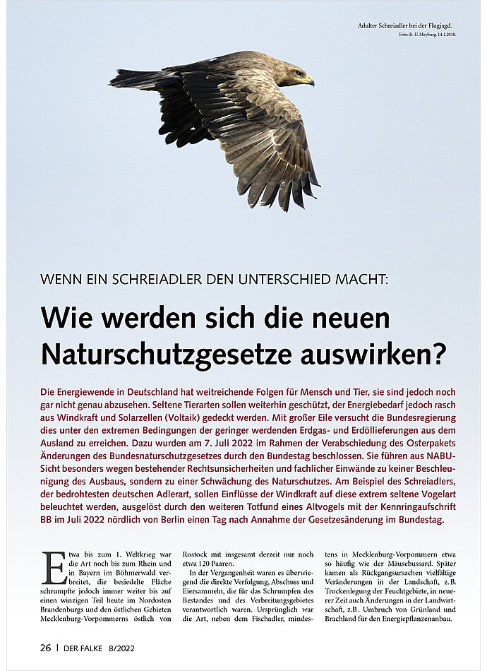 Auf diesem Bild sehen Sie das Produktbild 1 fr WENN EIN SCHREIADLER DEN UNTER SCHIED MACHT: WIE WERDEN SICH DIE NEUEN NATURSCHUTZEGESETZE