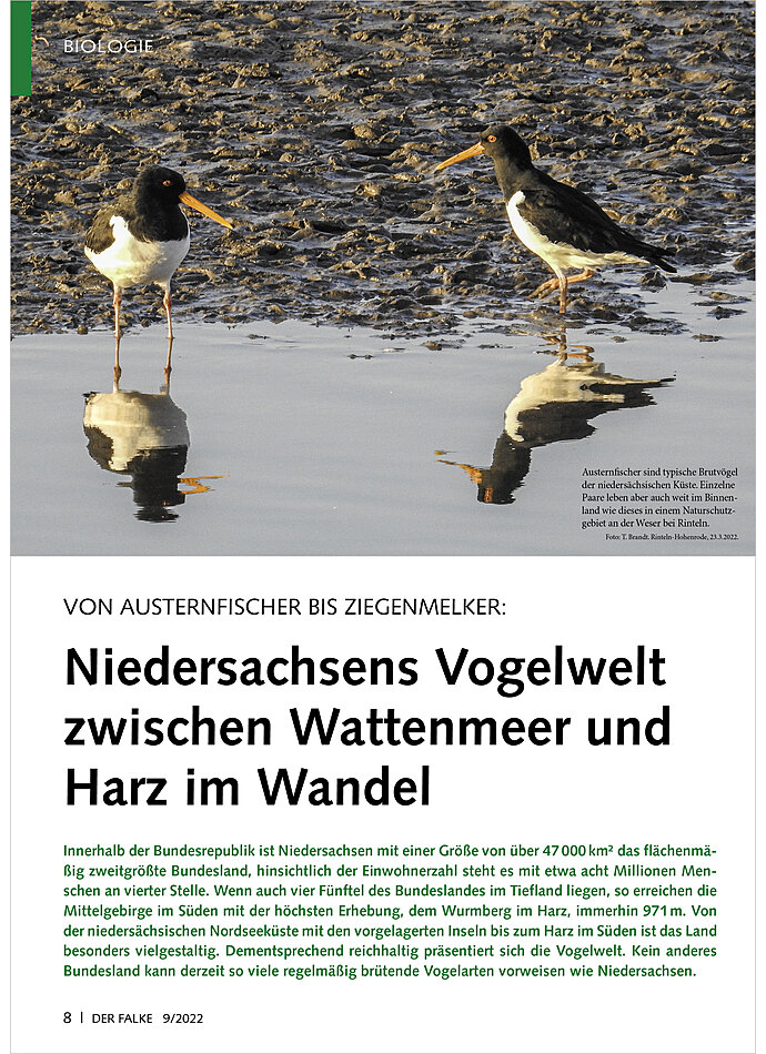 VON AUSTERNFISCHER BIS ZIEGENM ELKER: NIEDERSACHSENS VOGELWEL T ZWISCHEN WATTEMEER UND HARZ