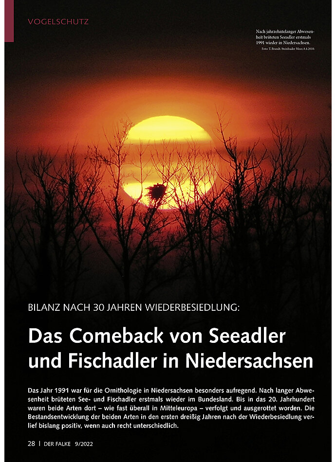 BILANZ NACH 30 JAHREN WIEDERBE SIEDLUNG: DAS COMEBACK VON SEE ADLER UND FISCHADLER