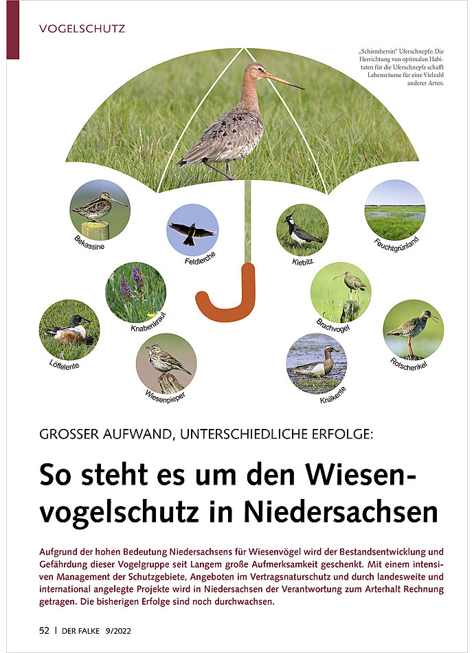 GROSSER AUFWAND, UNTERSCHIEDLI CHE ERFOLGE: WIESENVOGELSCHUTZ IN NIEDERSACHSEN