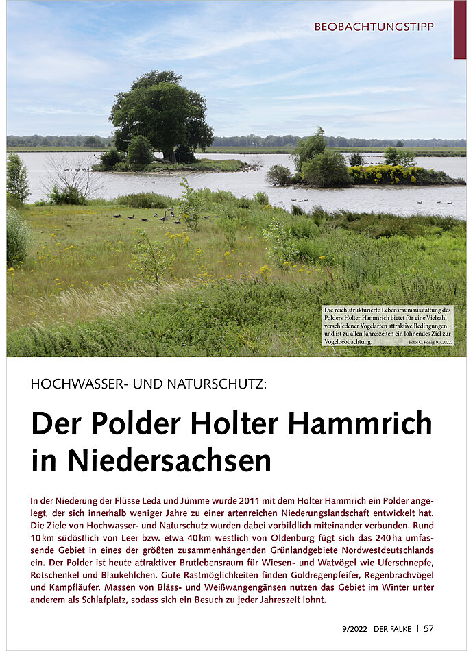 HOCHWASSER- UND NATURSCHUTZ: DER POLDER HOLTER HAMMRICH IN NIEDERSACHSEN
