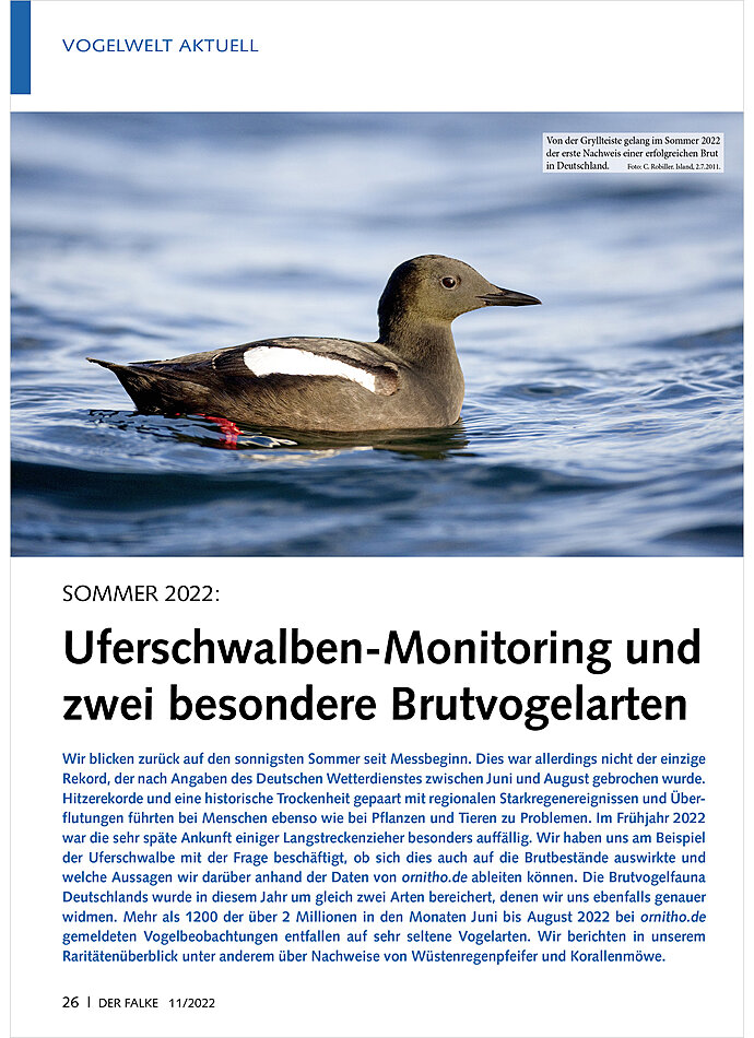 Auf diesem Bild sehen Sie das Produktbild 1 fr SOMMER 2022: UFERSCHWALBEN- MONITORING UND ZWEI BESONDERE BRUTVOGELARTEN