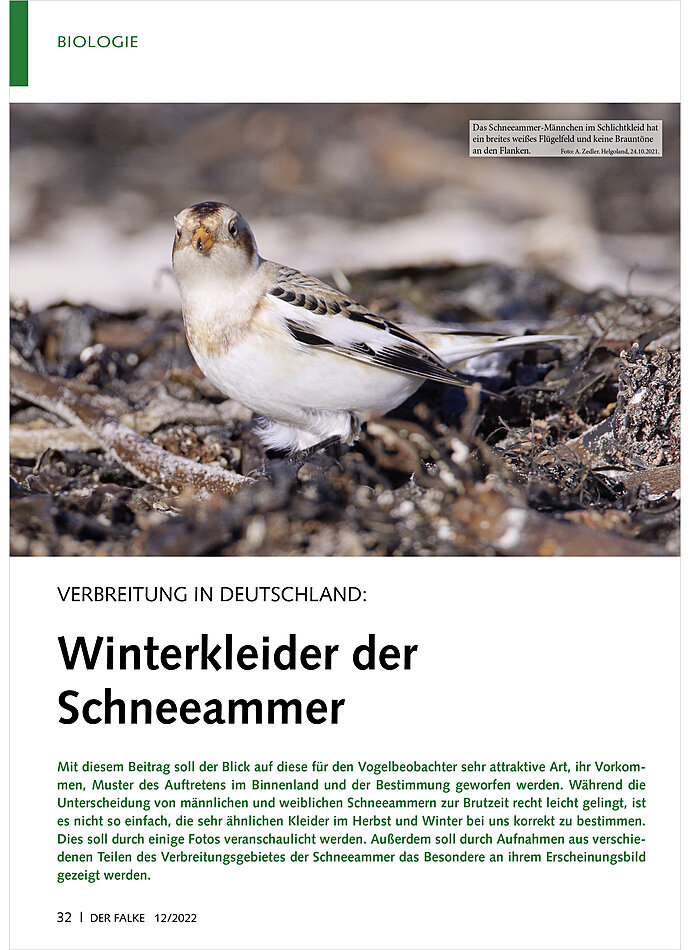 VERBREITUNG IN DEUTSCHLAND: WINTERKLEIDER DER SCHNEEAMMER