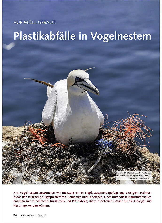 AUF MLL GEBAUT PLASTIKABFLLE IN VOGELNESTERN