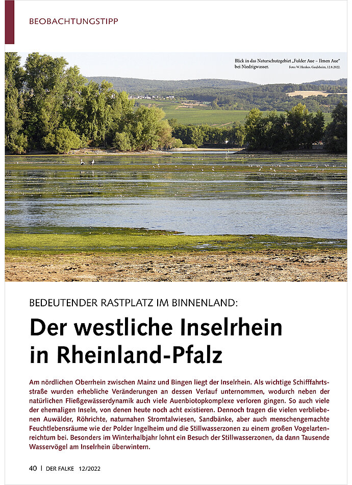 BEDEUTENDER RASTPLATZ IM BINNE NLAND: DER WESTLICHE INSELRHEI N IN RHEINLAND-PFALZ