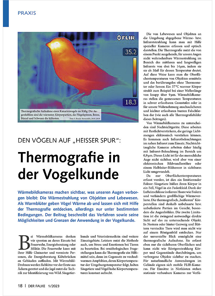 DEN VGELN AUF HEISSER SPUR: THERMOGRAFIE IN DER VOGELKUNDE