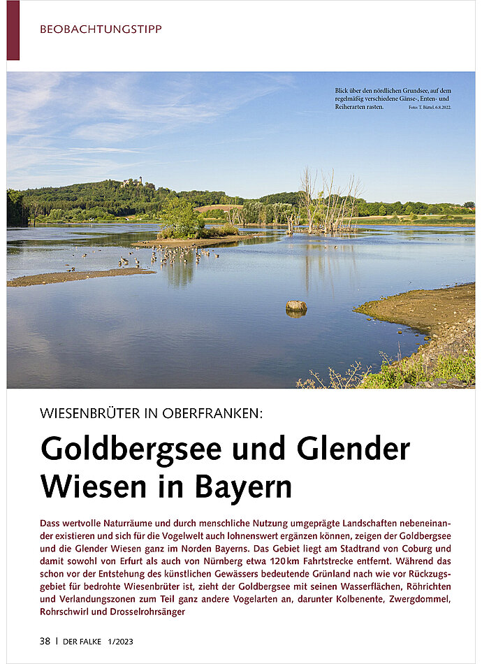 WIESENBRÜTER IN OBERFRANKEN: GOLDBERGSEE UND GLENDER WIESEN IN BAYERN
