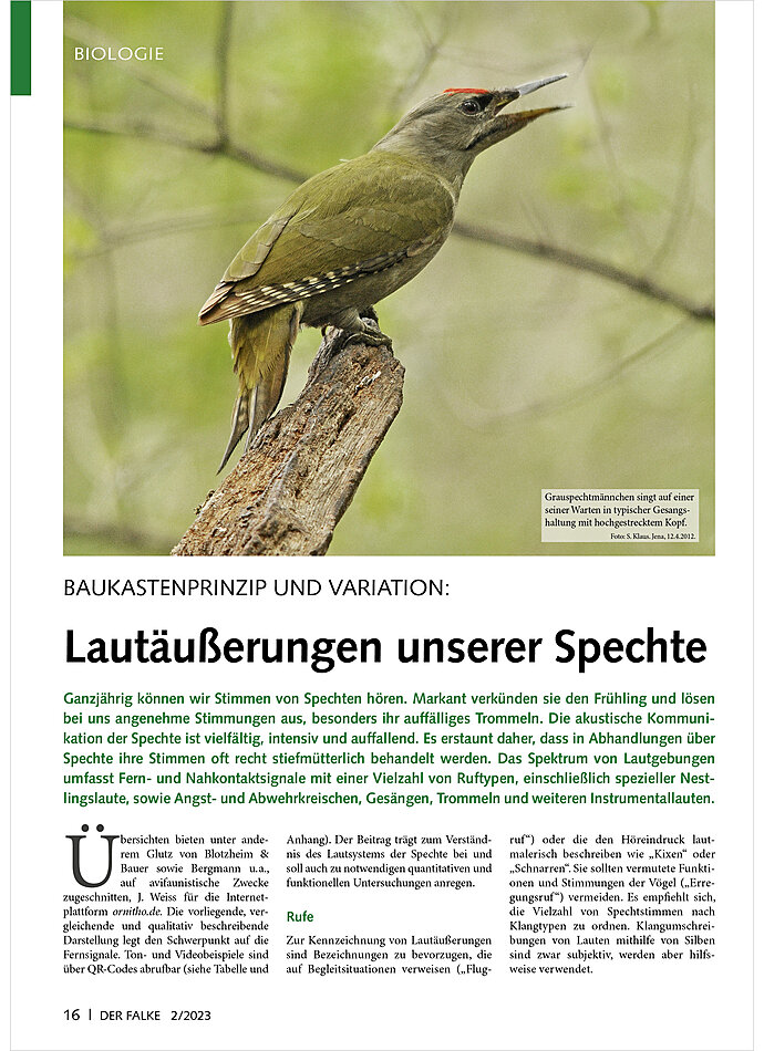 Auf diesem Bild sehen Sie das Produktbild 1 fr BAUKASTENPRINZIP UND VARIATION LAUTUSSERUNGEN UNSERER SPECHT