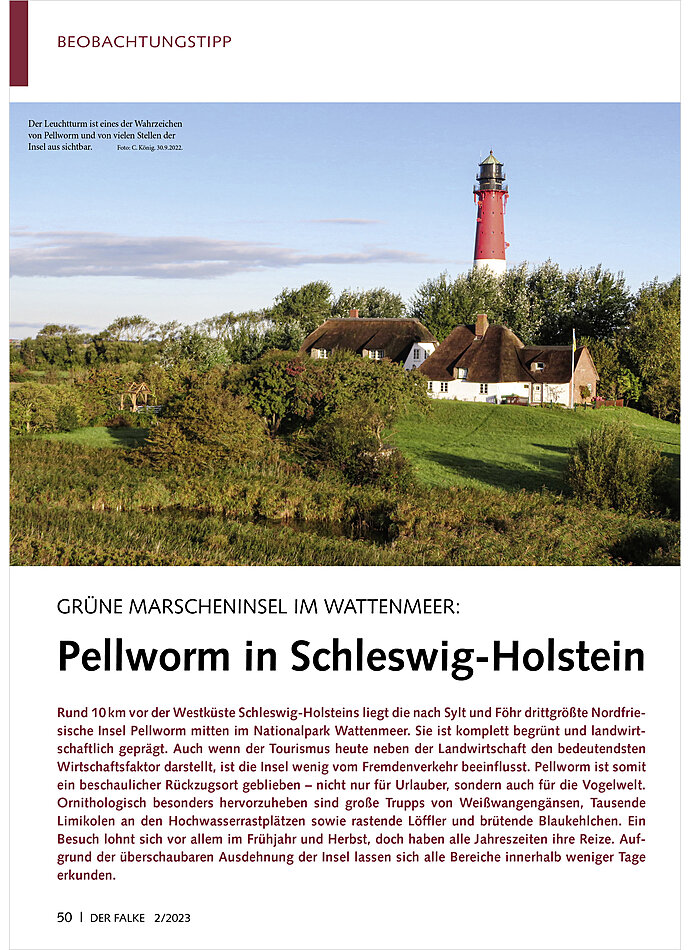 GRNE MARSCHENINSEL IM WATTEN MEER: PELLWORM IN SCHLESWIG- HOLLSTEIN