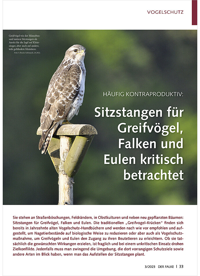 HUFIG KONTRAPRODUKTIV: SITZ STANGEN FR GREIFVGEL, FALKEN UND EULEN KRITISCH BETRACHTET