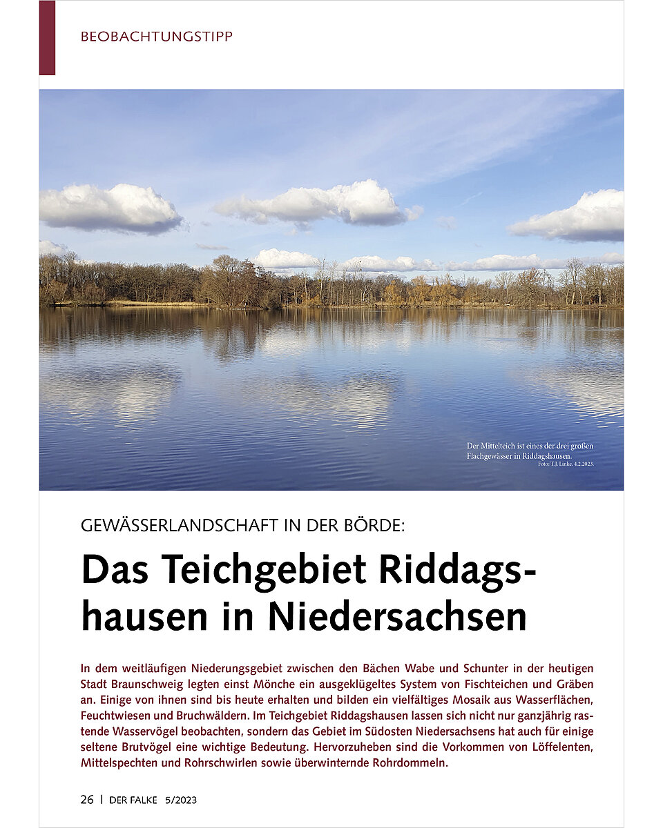 GEWSSERLANDSCHAFT IN DER BRD E TEICHGEBIET RIDDAGSHAUSEN IN NIEDERSACHSEN